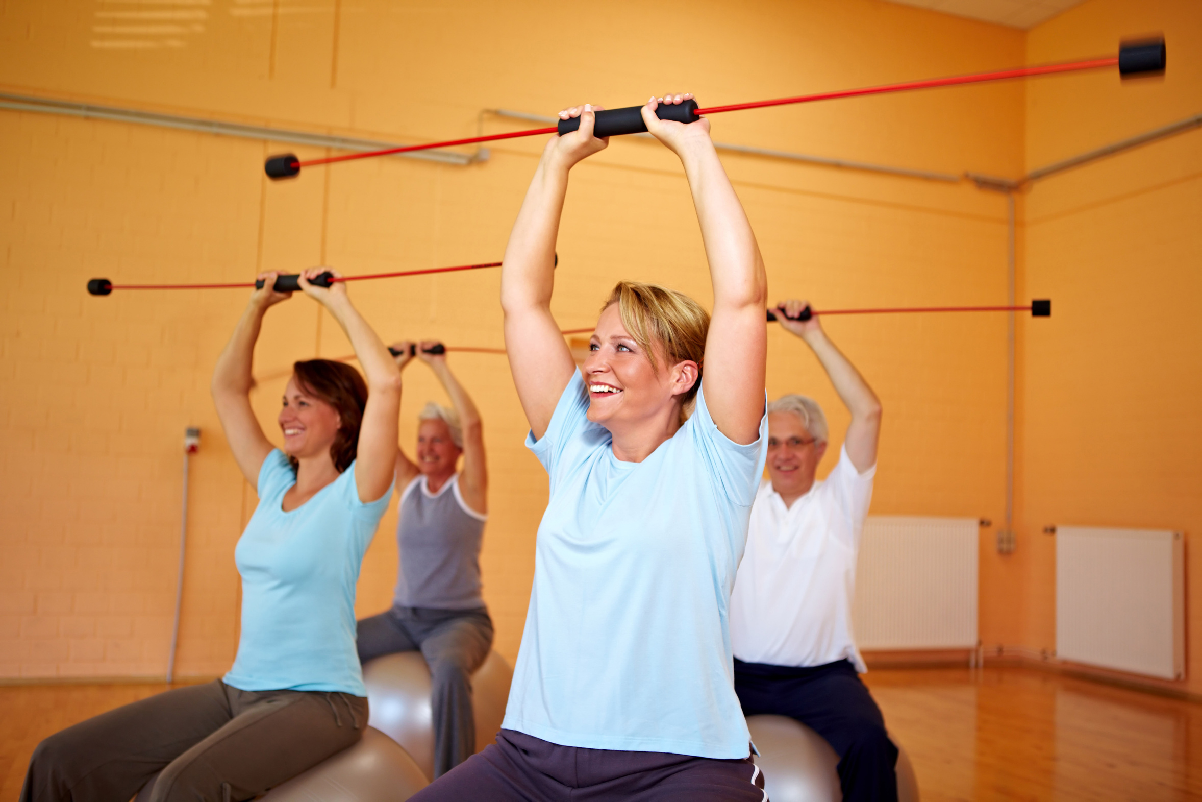 Flexi Bar Exercise Chart