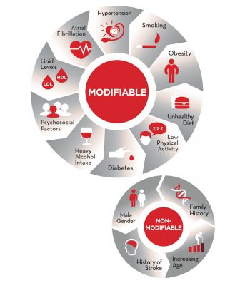 Understanding Stroke | Ageless Online