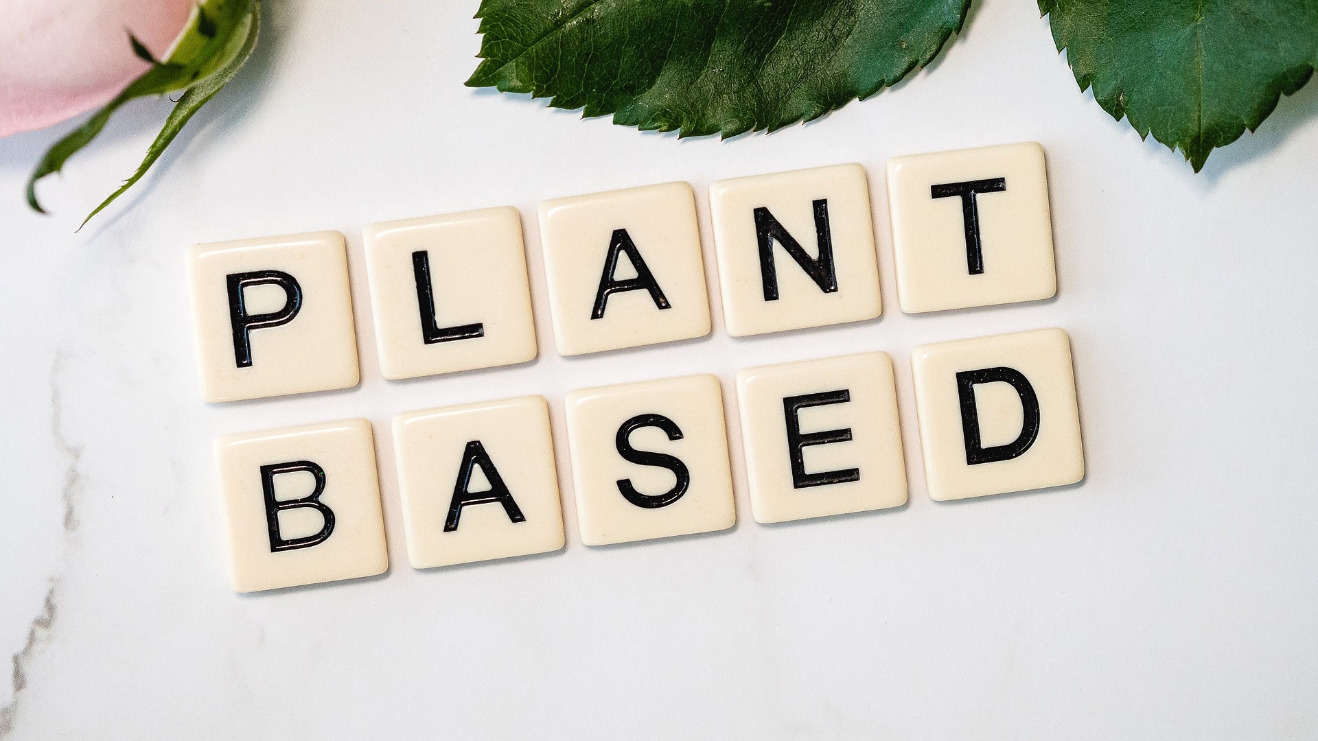 Is going plant-based a healthier option?